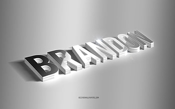 Brandon, silver 3d art, gray background, with names, Brandon name, Brandon greeting card, 3d art, with Brandon name HD wallpaper