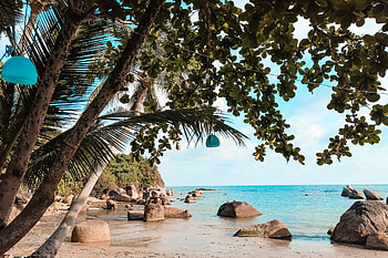 Perfect holiday, Travel tips, Koh Samui, Pineappleroad HD wallpaper