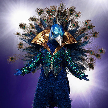 The Masked Singer, Singer ideas, Creative costumes, Joey Fatone HD phone wallpaper