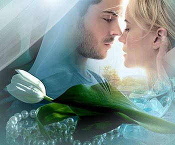Don't forget, couple, tulip, white, love HD wallpaper