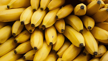 Banana wonderland, backdrop, Wide-screen charm, Multi-device compatible HD wallpaper