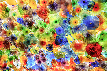 Animals, Jellyfish, Multicolored, Motley, Underwater World HD wallpaper