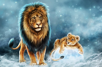 Father and son, blue, winter, animal, cub, cute, alenaekaterinburg, lion, moon, snow, iarna, leu, frumusete, orange, big cats, luna, father, luminos HD wallpaper