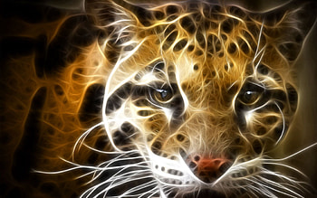 Abstract, Shine, Light, Leopard, Muzzle, Lines HD wallpaper