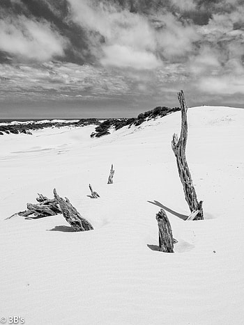 Landscape, Winter, Nature, Snow, Branches, Bw, Chb, Hill HD phone wallpaper