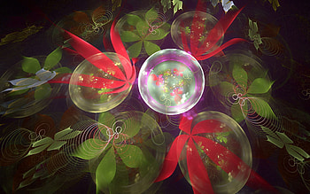 Abstract, Flowers, Bright, Petals, Fractal HD wallpaper