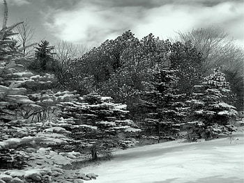 Snow in Canadian Field, canadian, field, snow HD wallpaper