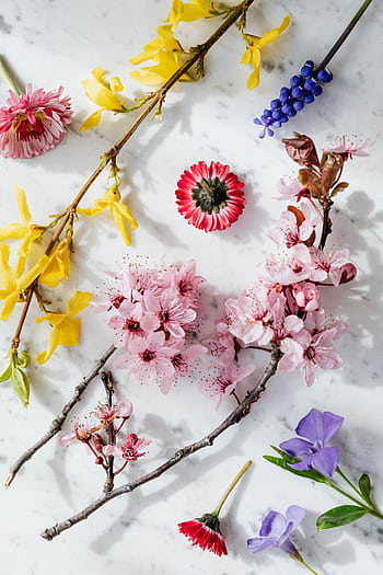 Fresh and vibrant spring flowers arranged on a white marble background, showcasing seasonal blossoms. HD phone wallpaper