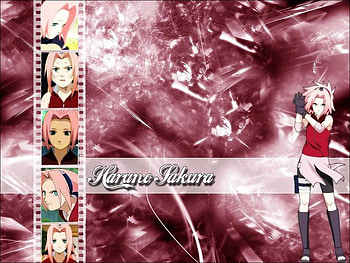 Sakura, girl, pink, stuff, anime HD wallpaper
