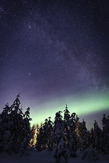 Winter, Nature, Trees, Starry Sky, Milky Way, Northern Lights, Aurora Borealis, Aurora HD phone wallpaper