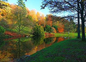 Beautiful Trees, trees, cool, beautiful HD wallpaper