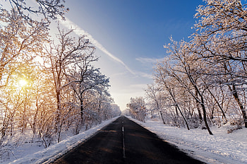 Autumn Winter Road Outdoors, autumn, winter, road, snow HD wallpaper