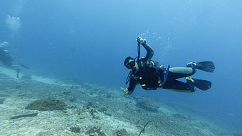 Barracuda Point, Scuba Diving HD wallpaper