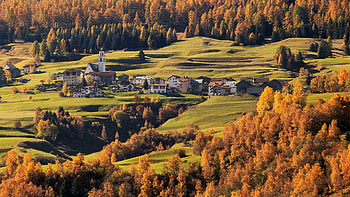 Savognin, Grisons, Switzerland, autumn, trees, landscape, leaves, fall HD wallpaper