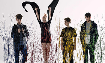 Clean Bandit, , Impressive visuals, Aesthetic appeal HD wallpaper