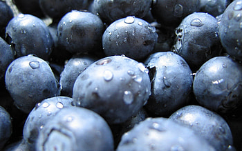 Food, Berries, Ripe, Tasty, Delicious, Cowberry, Lingonberry HD wallpaper