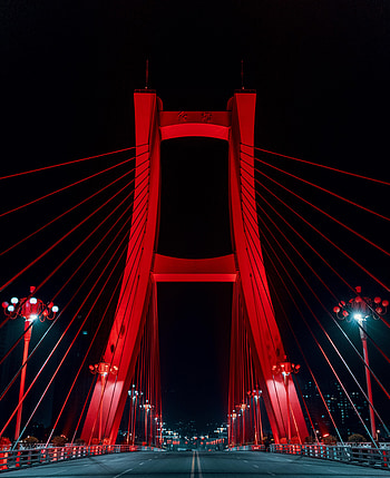 Cities, Road, Bridge, Neon HD phone wallpaper