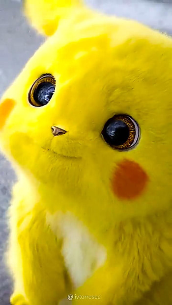 LIVE . PIKACHU. POKEMÓN. Pikachu cat, Cute pikachu, Cute kawaii animals, Sad Pokemon HD phone wallpaper
