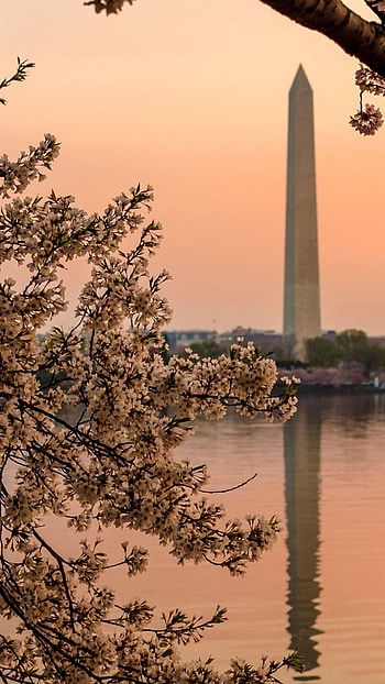 Washington, D.C., , City on-the-go, Digital Souvenirs HD phone wallpaper