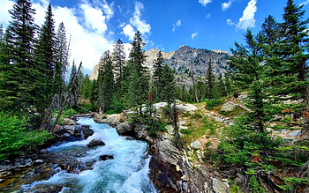 Teton National Park near inspiration point, trees, clouds, sky, mountains, wyoming, stream, usa HD wallpaper