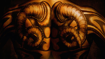 Red Dragon Movie, Thriller, Crime HD wallpaper