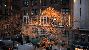 Building HD wallpaper