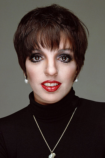 Liza Minnelli, Profile , Movie database, Showbiz icon HD phone wallpaper