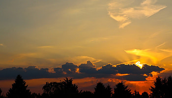 Beautiful Sunrise, clouds, trees, nature, sunrise HD wallpaper