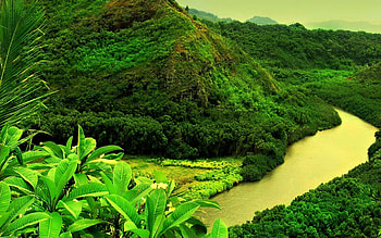 Borneo exploration, Pristine rainforests, Wildlife encounters, Adventure awaits HD wallpaper