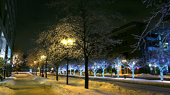 Cities, Winter, Trees, Night, City, Park, Decor, Decoration, Street HD wallpaper