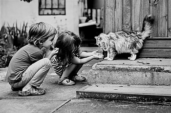Memory of childhood, childhood, black and white, Memory, cat HD wallpaper