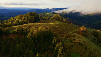 Mac OS Sonoma, mountain HD wallpaper