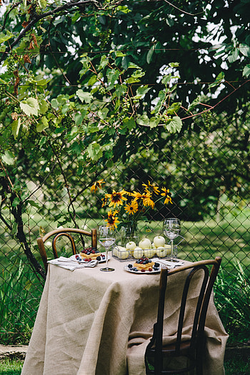 Nature, Food, Summer, Table, Serving, Breakfast, Picnic HD phone wallpaper