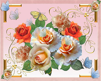 Roses and butterflies, butterflies, roses HD wallpaper