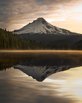 Idyllic sunrise view of snow-capped mountain reflected in a tranquil lake, surrounded by lush pine trees. HD phone wallpaper