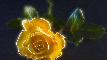 Copper Gem Rose Fractalius, graphy, digital art, rose, abstract, flower, fractalius, nature, fractal, refraction HD wallpaper