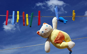 Miscellanea, Miscellaneous, Ropes, Cordage, Cat, Toy, Dry, Pin, Clothespin HD wallpaper