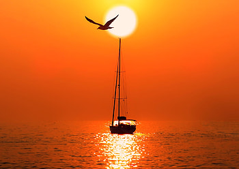The Evening, The Sun, Yacht, Sea, Seagull HD wallpaper