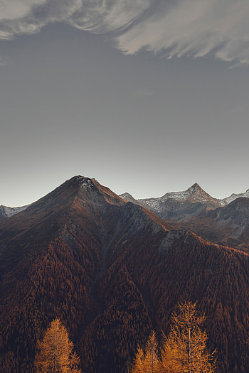 Vertex, Nature, Trees, Mountains, Tops, Mountain Range, Slopes HD phone wallpaper
