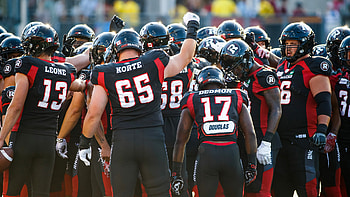 Ottawa Redblacks, Canadian Football HD wallpaper