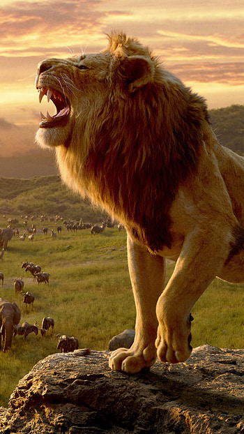 lion , Best quality, Stunning backgrounds, Mesmerizing visuals HD phone wallpaper