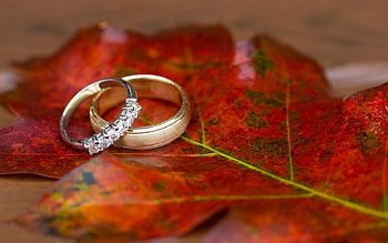 Holidays, Wedding, Rings HD wallpaper