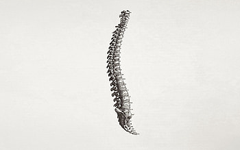 Minimalism, Numbers, Dice, Bones, Spine HD wallpaper