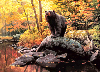 What's Cooking F, animal, art, beautiful, illustration, artwork, wide screen, wildlife, painting, bear HD wallpaper