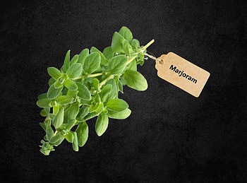 Sun life organics, Exporting herbs, Marjoram spices seeds HD wallpaper