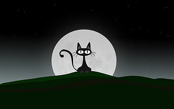 Cats, Moon HD wallpaper