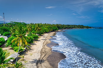 A stunning aerial view of a tropical beach in Banten, Indonesia, with clear blue skies and lush palm trees. HD wallpaper