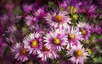 Plants, Flowers HD wallpaper