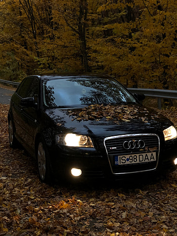 Audi, automotive lighting, vehicle registration plate HD phone wallpaper