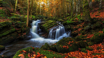 Autumn Forest, Fall, waterfalls, Autumn, rocks, leaves, waterfall, trees, water, forest HD wallpaper